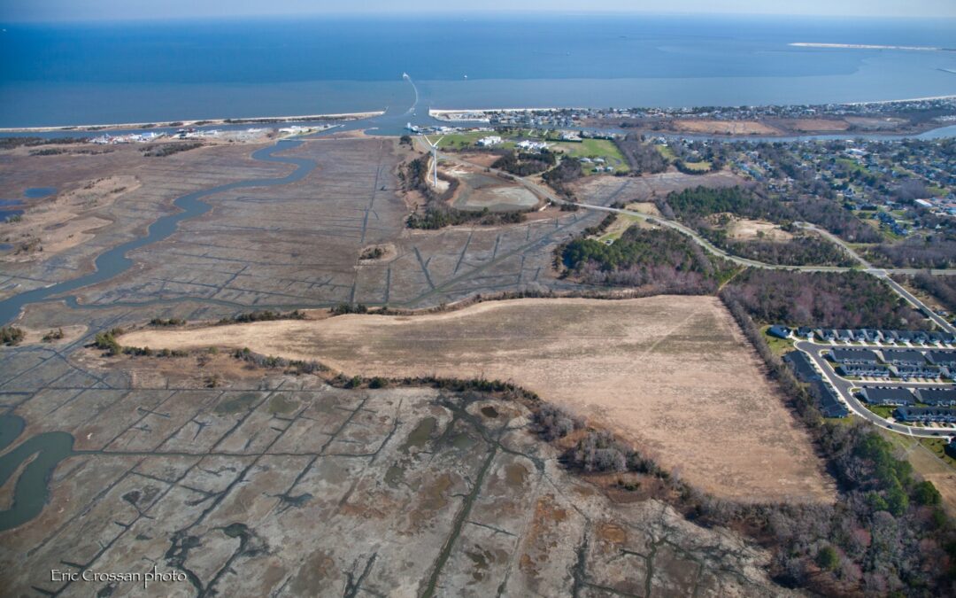 crossan harbor pt