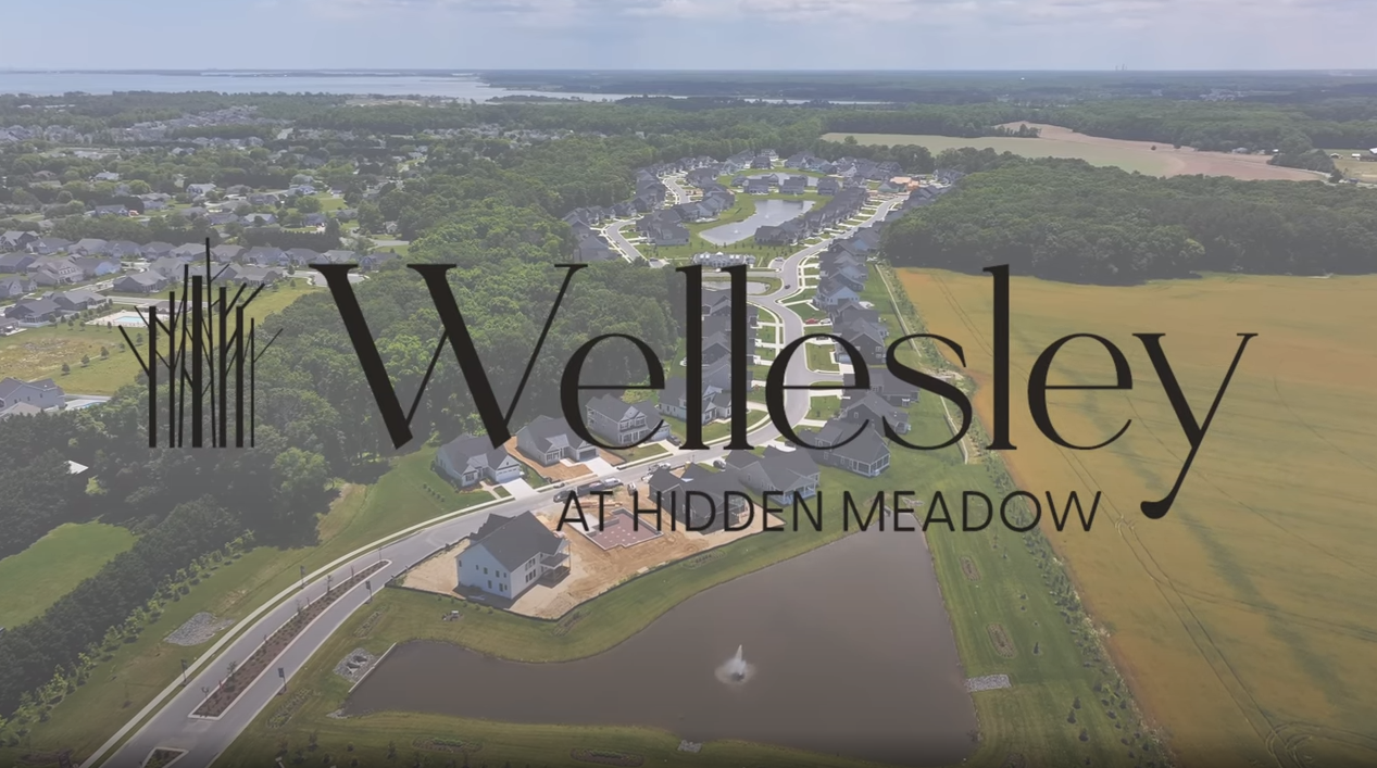 Wellesley Video Cover