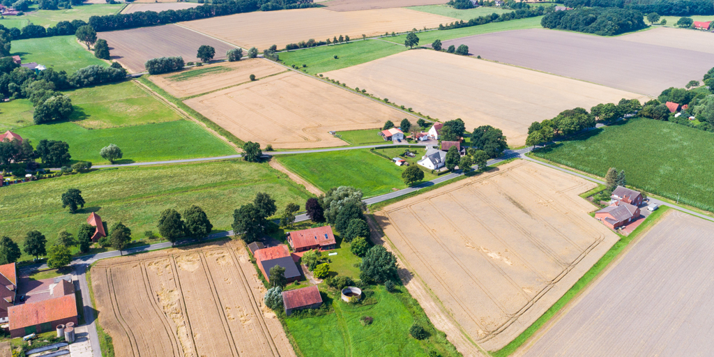 Somerton Chase
